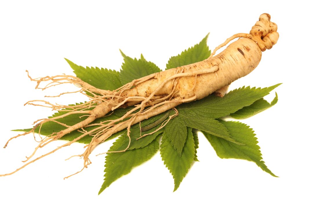 ginseng - element sestave Alfazone